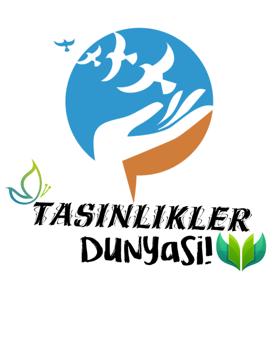 Tasinlikler Dunyasi