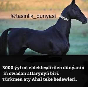 tasinlik_dunyasi