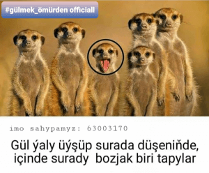 gülmek_ömürden