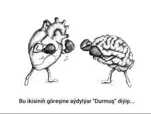 Dusia