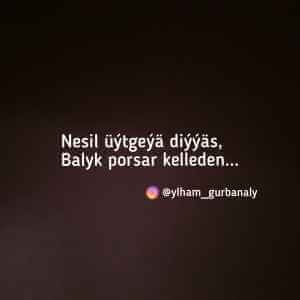 ylham_gurbanaly